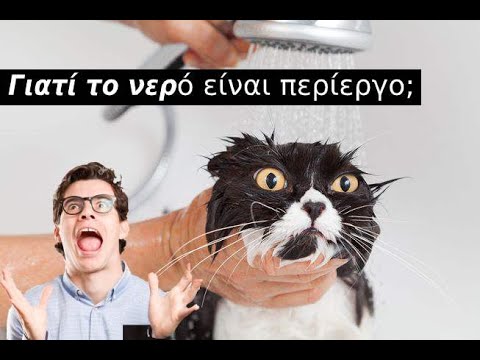 Βίντεο: Άσκηση 