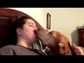 Copy of World record for dog licking a person's face
