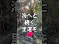 放置されすぎた1,500坪の山、不審者の侵入、暗黒の裏山を開拓して聖域を守る。