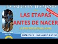 Etapas antes de nacer / parte 2