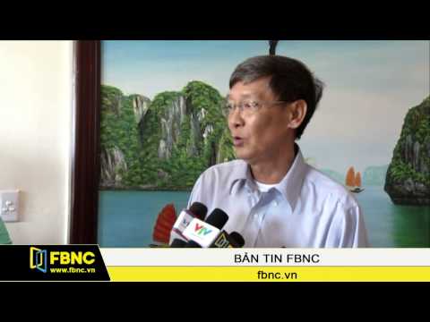 Video Ngành gỗ: Thách thức lớn nhất là liên kết tổ chức sản... - youtube