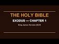 The Book of Exodus | Complete Book | KJV Bible with Calming Music