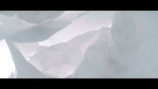 Canopy of Thoughts (Summary Film)