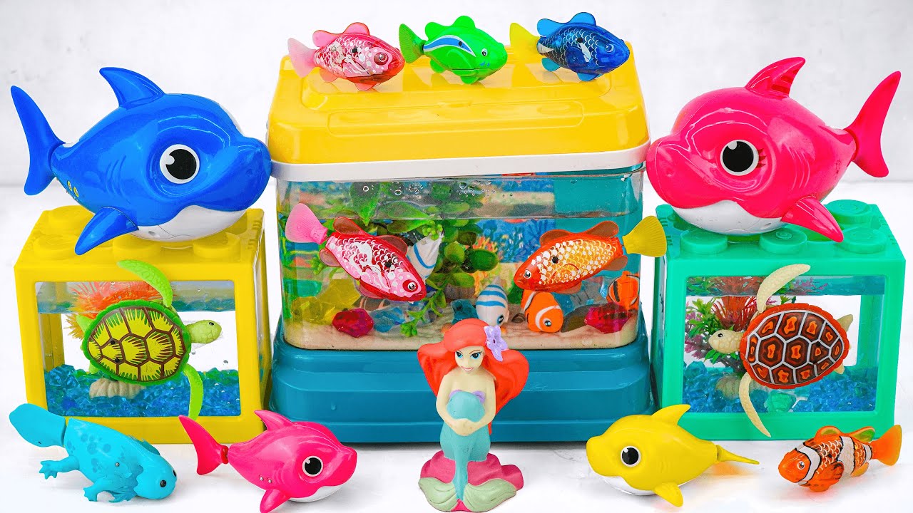Toy asmr 🐟 ZC Aquatic Mermaid + Zuru Robo Fish Aquarium Playset ASMR | Satisfying with Unboxing