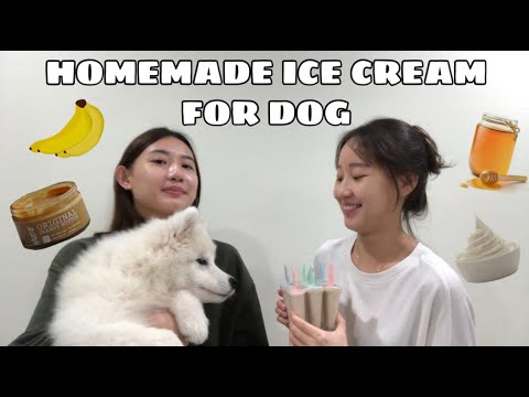 Video: Cara Membuat Es Krim Untuk Anjing