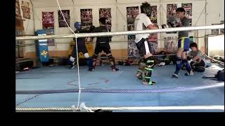 2021121901 toellgym.com