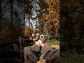 Friendly Fire in Sons of the Forest