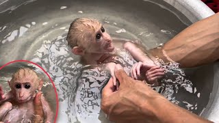 So happy, Bambo likes to be bathed and carefully taken care of by his father