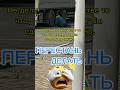 #контент #якушевскийнлп ₽ #опыт #видео #саморазвитие #люди #жизнь #страх #самопознание #одиночество