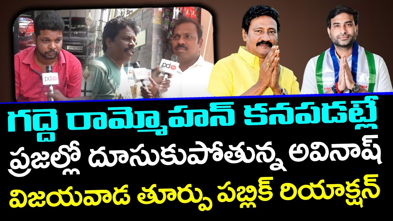 Devineni Avinash VS Gadde Rammohan : Vijayawada East Public Talk : PDTV News