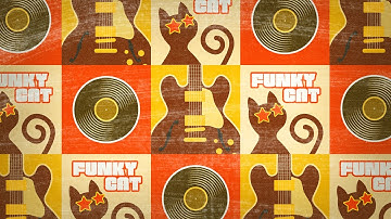 AAS Funky Cat—Niall McCallum sound pack for Strum GS-2 and AAS Player