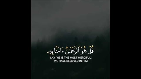 القارئ اسلام صبحي - سورة الملك حاله واتس اب