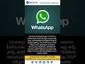 WhatsAppలో రియల్ టైమ్ Message Translation ఫీచర్ అందుబాటులో #whatsapp #latest #yt #technews #update