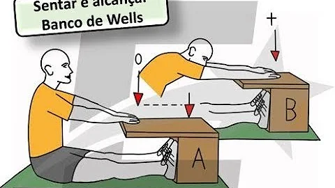 O que é um banco de Wells?