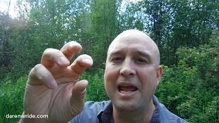 How to Shoot a Moose