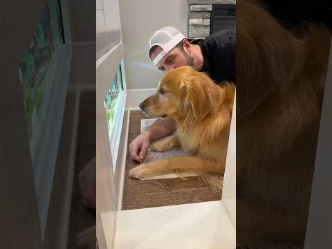 Watching the fish with my dog 🐾 | Ten Minutes With Teddy