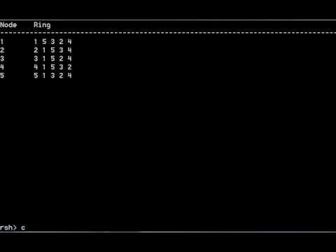 Cluster of nodes discovering each other using a Gossip protocol