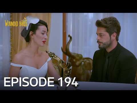 Wounded Birds | Episode 194