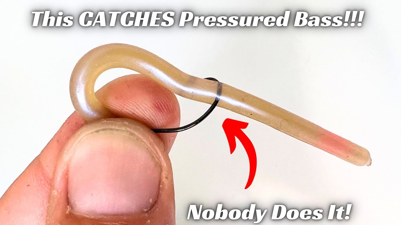This Finesse Presentation Catches Heavily Pressured Bass!