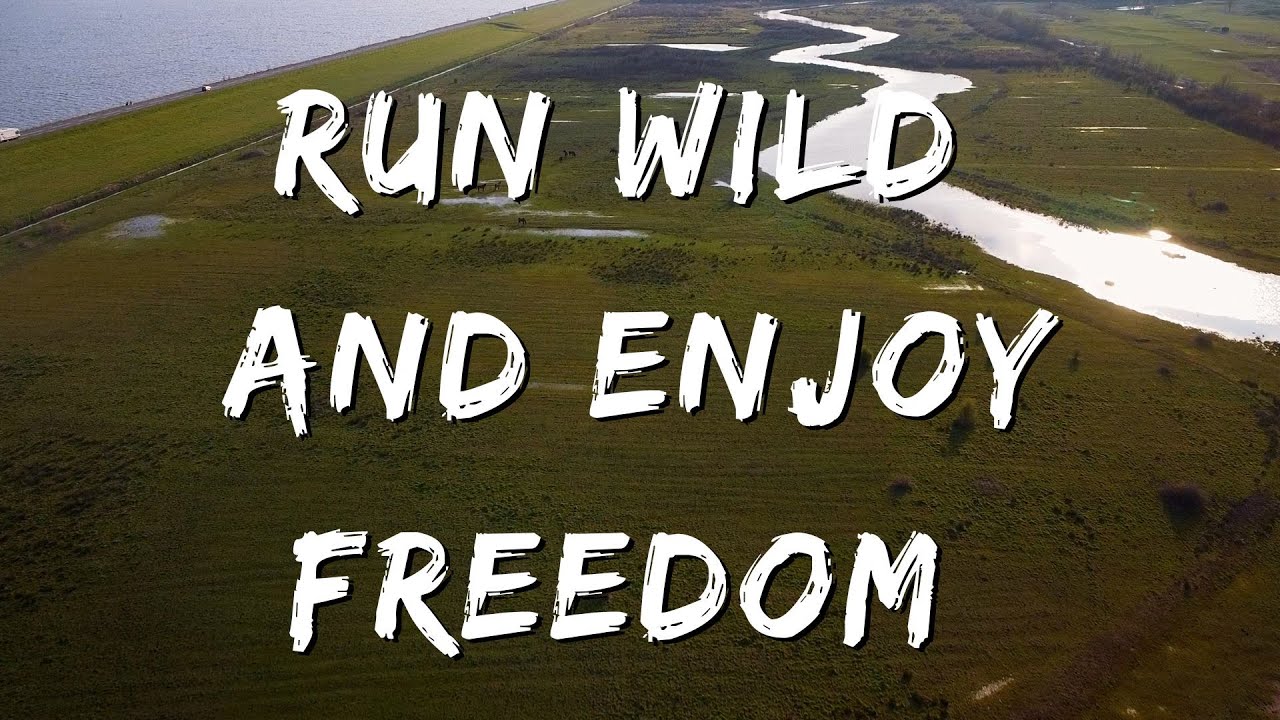 A Glimpse Of Nature 2 Land Of The Horses YouTube