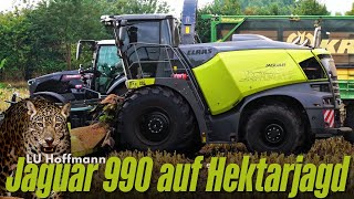 Claas Jaguar 990 Auf Hektarjagd