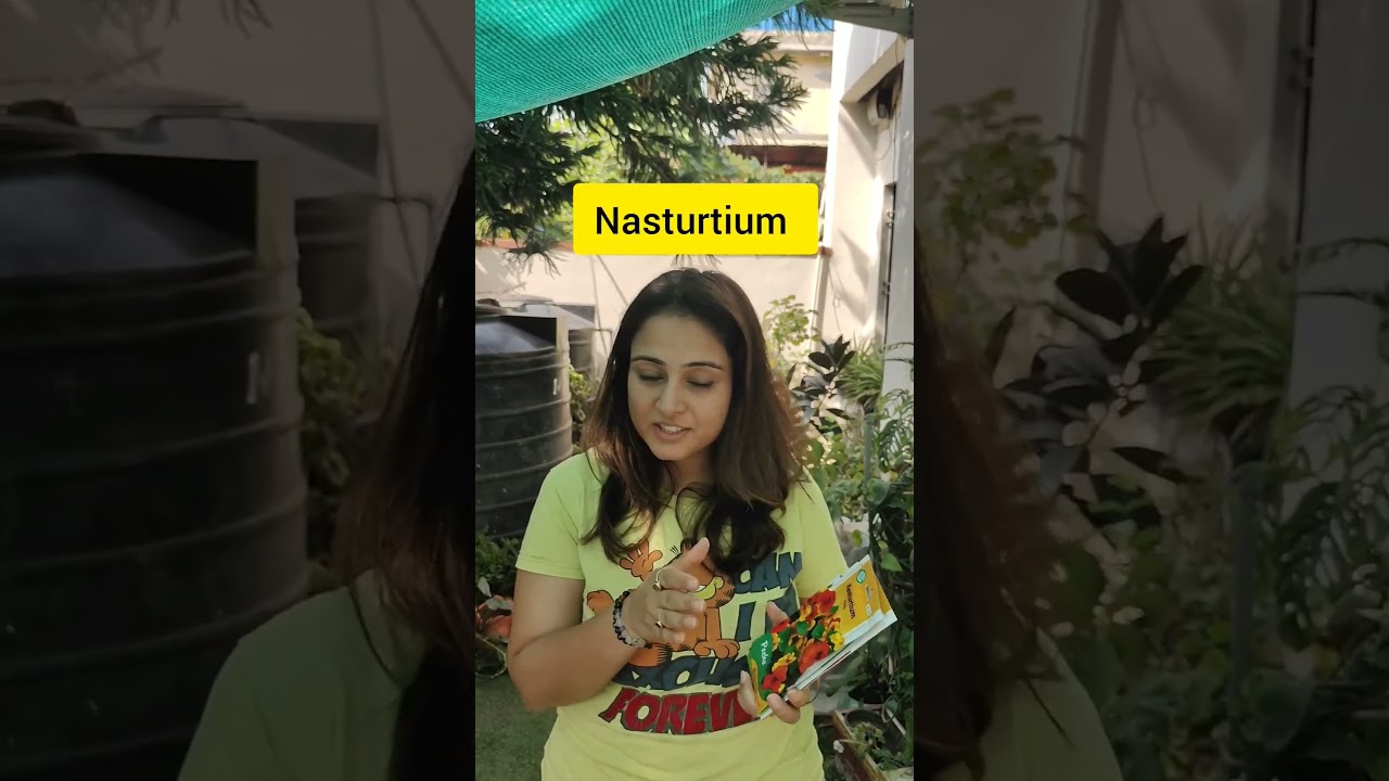 Flowers to sow this winter season. 