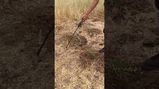 2019 Outdoor Grow Spraying for Bug's "Early Spray"