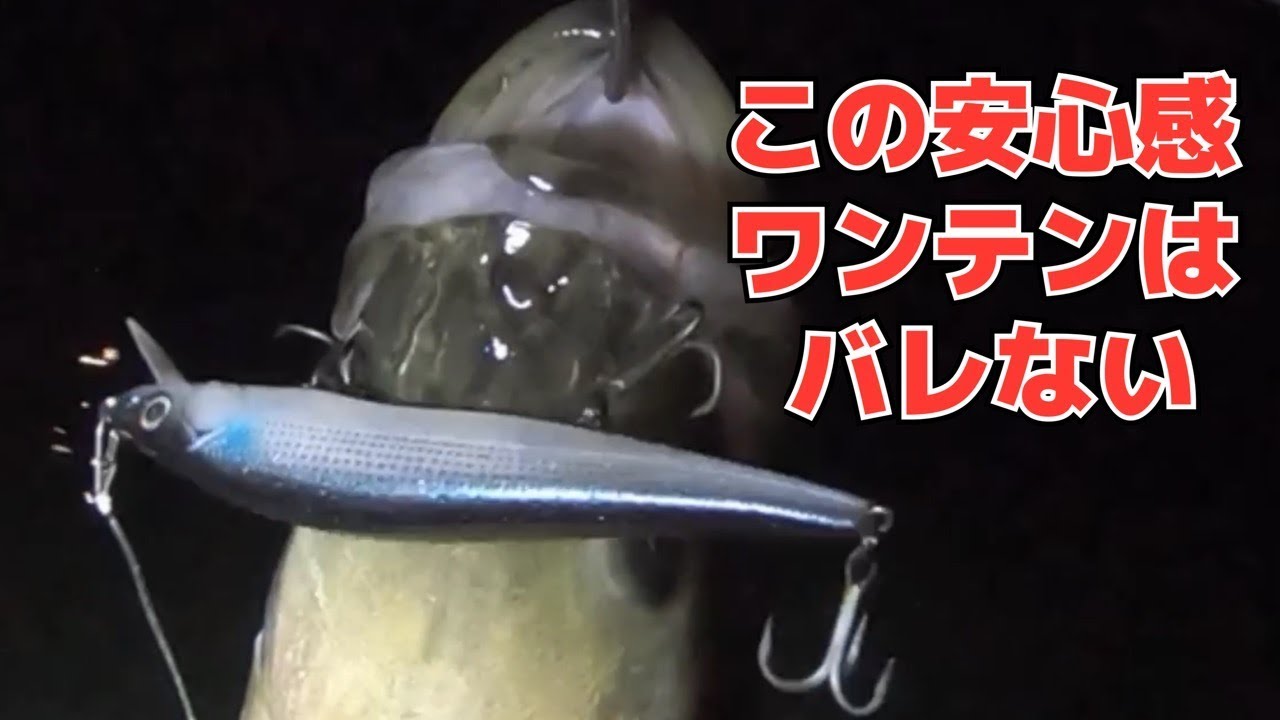 リバーシーバスはやっぱりワンテン釣れるrjは Youtube