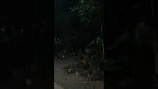 Download Lagu Sampai Pagi oleh Rhoma Irama @gurubangsa9617 MP3