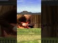 Ocarina Of Time: Epona's Song (Guitar) #shorts