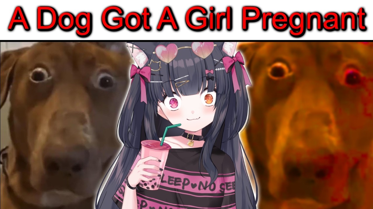 ЭТО ВООБЩЕ ВОЗМОЖНО?! | Реакция на ваши школьные признания