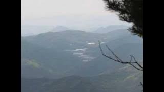 JINEMAN ULER KAMBANG UYON UYON KLASIK