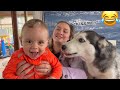 Over Excited Husky Cannot Contain Her Excitement With New Family Baby!💖  [CUTEST VIDEO EVER!!]