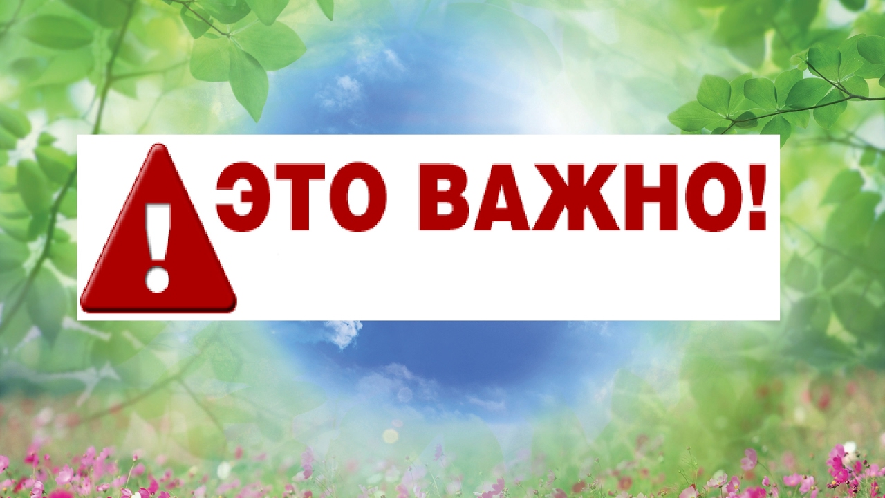 Надпись важно картинка