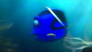 Le Monde De Dory