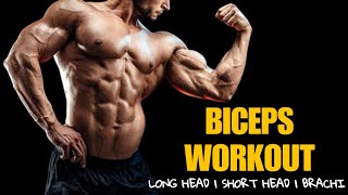 Long Head Short Head Brachi Biceps