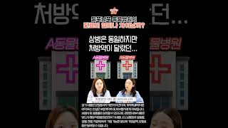 말티즈 보험 이렇게 가입하세요! #펫보험 #말티즈 #애견