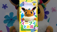 Pokemon Kids Tv Japan Youtube