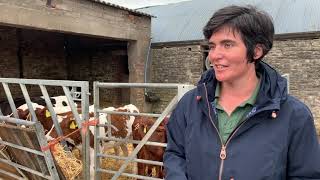 Honoured on the Queen's Birthday list, we chat to Welsh farmer Abi