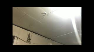 Ceiling fan falling down complation Net Worth
