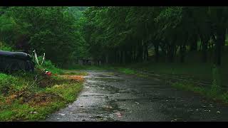 Beat Insomnia Sleep Immediately with Heavy Rain & Echoing Thunder at Night | ASMR Rain Sounds