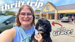 Download Lagu Come Thrift With Me AND MY NEW PUPPY! 🐶 MP3 Download Lagu Come Thrift With Me AND MY NEW PUPPY! 🐶 MP3