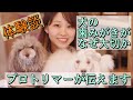 【犬のデンタルケア】歯磨きをしないとどうなる？！私の経験をお伝えします【ドッグサロン  八女 広川 福岡 トリミング  久留米 筑後 doggrooming】