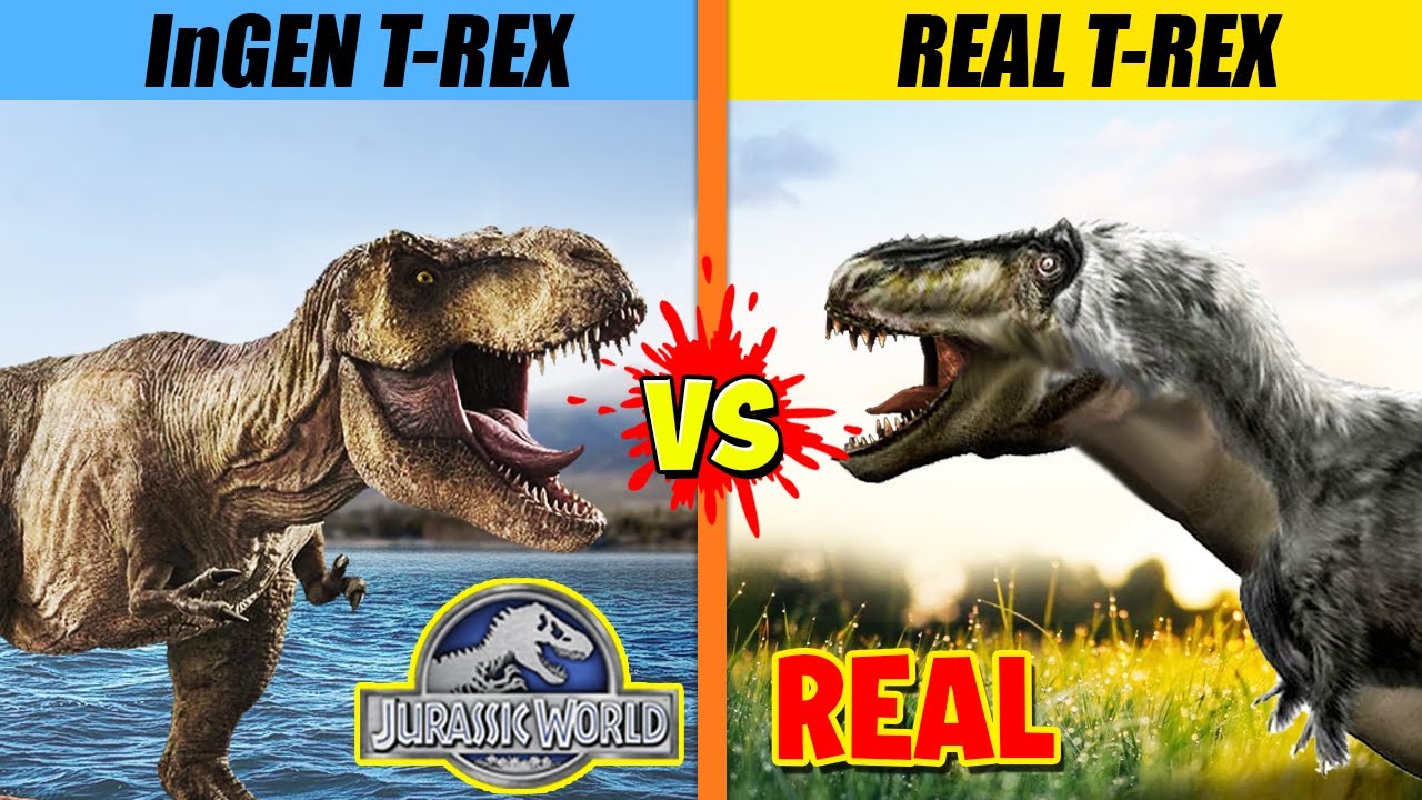 prioridad visa Ventilar T-Rex Fight: Jurassic World vs Real Life | SPORE - YouTube