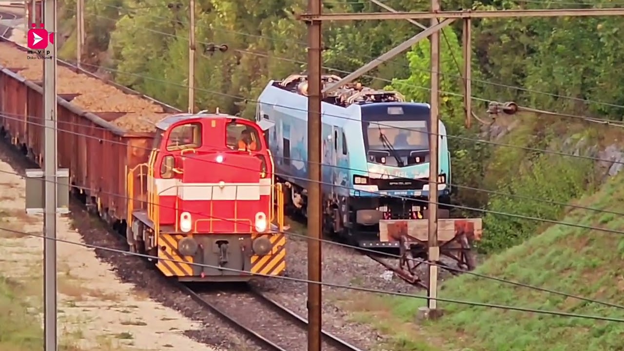 Rangier und Güterverkehr der Schweiz