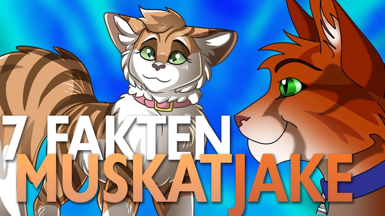 Get Warrior cats zitate feuerstern For Android Warrior Cats Zitate Feuerstern