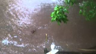 Backyard View from my deck - Duluth Flood 2012
