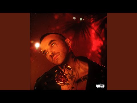 Spleen Video