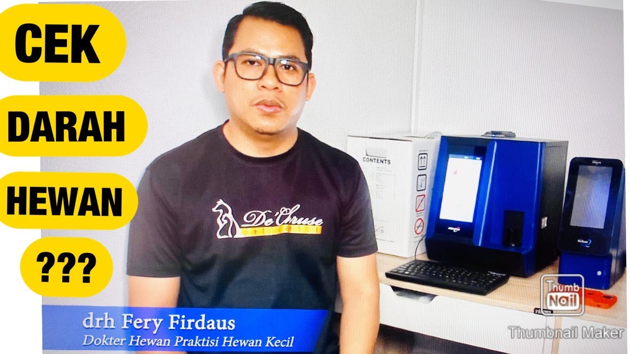 PENTING NYA CEK DARAH PADA ANJING DAN KUCING, BEGINI PENJELASAN DOKTER HEWAN FERY