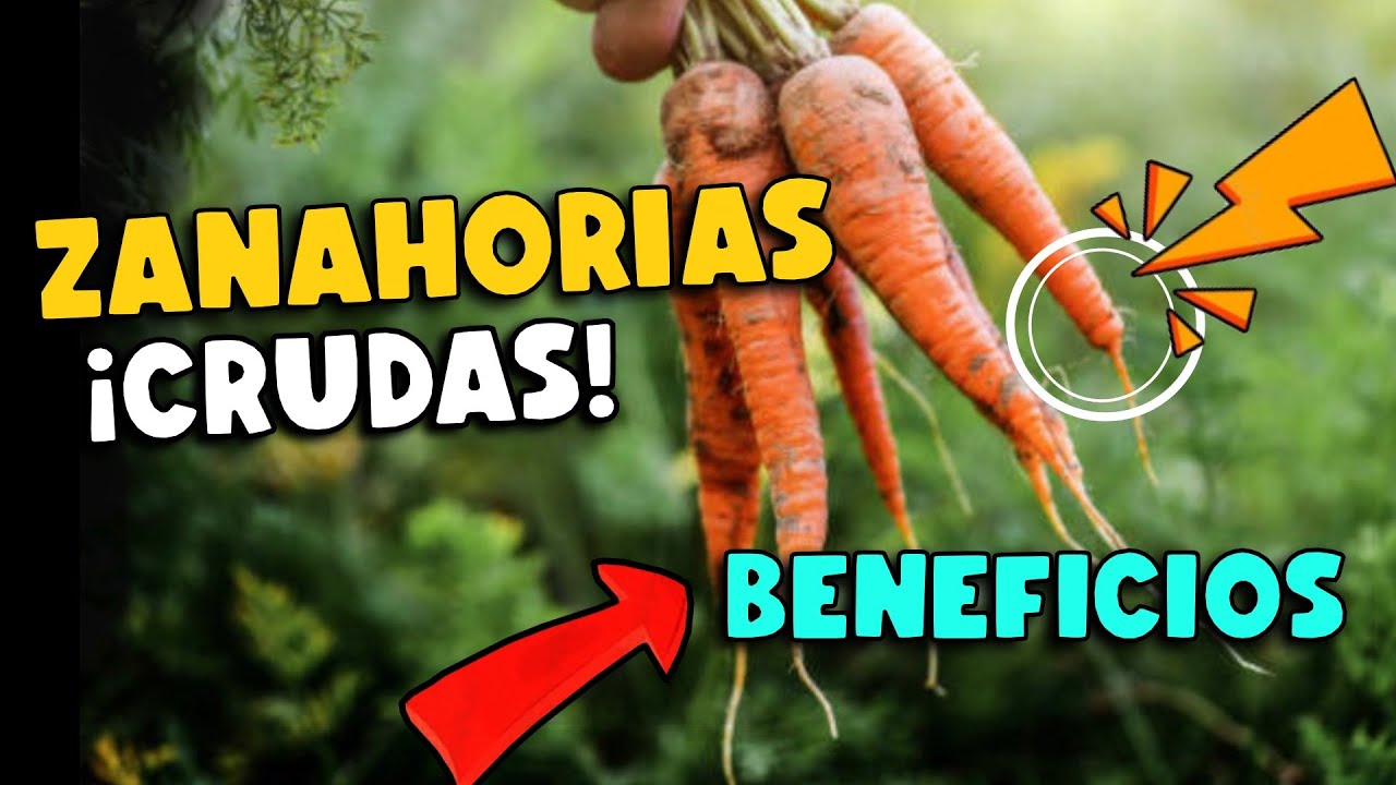 ¡IMPORTANTE! ¿COME LAS ZANAHORIAS CRUDAS? CIENTÍFICOS REVELAN BENEFICIOS